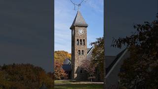 Duke Farms Architechture New Jersey a7S3 28-200mm #sonya7Siii #tamron28200mm #photography #fallvibes