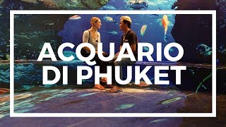 GITA NON SERIA ALL'ACQUARIO DI PHUKET //non so niente di pesci