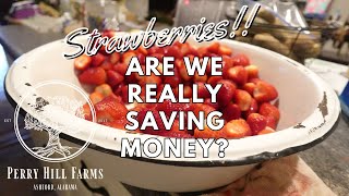 STRAWBERRIES?  Are we really Saving Money?