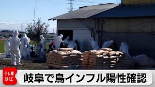 岐阜で鳥インフル陽性確認　1万5,000羽殺処分　今季9例目