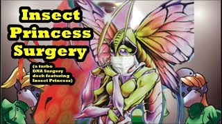 Insect Princess OTK and Insect Princess Surgery