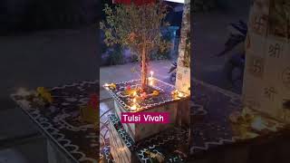 Tulsi Vivah, ekadasi pujan, Jethan, Dev Uthawan 🙏# shorts