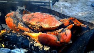 Mud Crabbing Catch and Cook