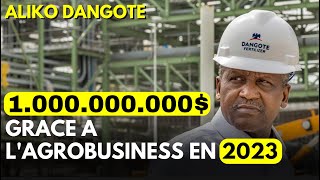 GAGNEZ DES MILLIONS EN AGROBUSINESS EN 2023.(les conseils d'ALIKO DANGOTE).