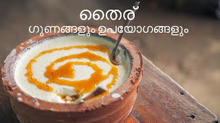 തൈര്  - വയറിളക്കം, വയറു വീര്‍പ്പ്, Ayurvedic health tips,  curd uses, curd benefits in malayalam