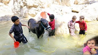 "The hard and laborious life of the nomadic family of Mr. Qurban and her children in the mountains"