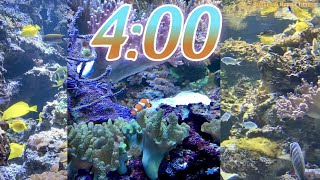 4 Minute Aquarium Timer/Countdown With Relaxing Music 🐟🐠|Cuenta Regresiva de 4 Minutos con Música.