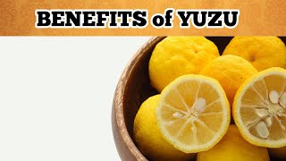 10 Surprising Benefits Of Yuzu Fruit