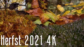 Herfst 2021 4K Use Headphones For The Best Experience!