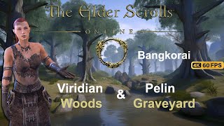 Elder Scrolls Online Bangkorai Part 12 Pelin Graveyard & Viridian Woods