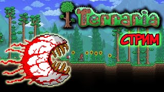 стрим terraria | стрим террария | бесплатный пиар и оценка каналов