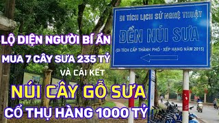 Người Bí Ẩn Mua 7 Cây Gỗ Sưa 235 Tỷ Cạnh Ngôi Đền Với Những Cây Sưa Cổ Thụ Hàng Nghìn Tỷ Giữa Hà Nội