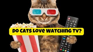 Do Cats Love Watching Tv?