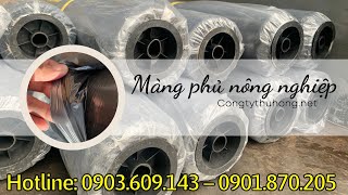 Màng phủ nông nghiệp đen giá rẻ TPHCM