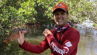 Chum Fishing for Mangrove Snapper, Dog Snapper and Schoolmaster Snapper in Miami's Backwater Creeks