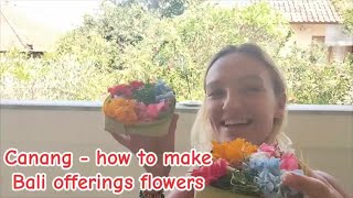 How to make Bali - Canang 💐🌼🌺 #offerings #flowers #prayer #bali #culture #indonesia #howto #kwiaty