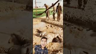 Very funny viral video of friends,Funny group short video#funny #shorts #viral #trending #reaction