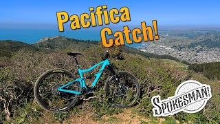 Pacifica Catch