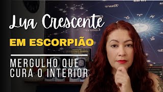 Semana da LUA CRESCENTE em ESCORPIÃO: é momento de CRESCER emocionalmente! #astrologia #signos