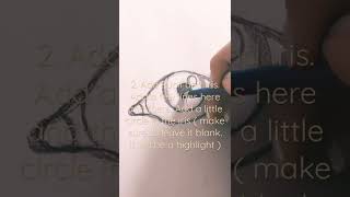 Eye Tutorial: Part 1