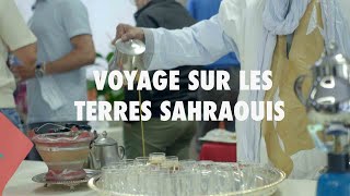 Voyage sur les terres Sahraouis