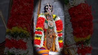 #ஸ்ரீரங்கம் திருச்சி, ஸ்ரீ நம்பெருமாள் - #srirangam  Trichy,  Sri Namperumal