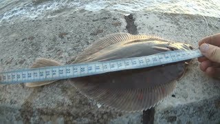 blackpool fishing gynn wall 07/07/19