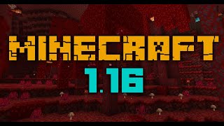 Minecraft 1.16.5 #1