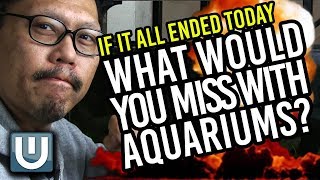 What Would You Miss Most About Aquariums? | Aquachat 007