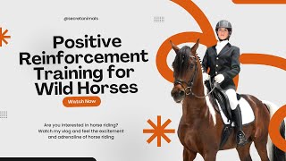 Gentle Guidance: Positive Reinforcement Training for Wild Horses #secretanimals @secret_animals