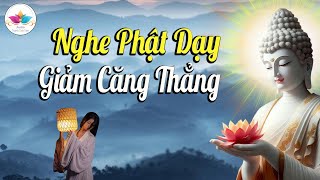 Giảm căng thẳng tối thượng giúp thư giãn, thiền định và giảm lo âu - Audio Thanh Tịnh Tâm