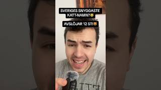 Sveriges SNYGGASTE KATT-NAMN😼#youtubeshorts #sverige #cats #catshorts