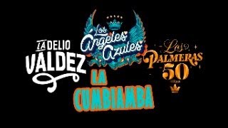 Los Palmeras - Ángeles Azules - La Delio Valdez - Enganchados 🔥🔥