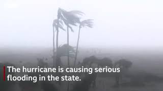 Hurricane Ian  Cars submerged in raging floodwaters  News