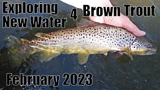 Indiana Stream Trout: Finding More Brown Trout! 2/18/24