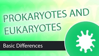 Prokaryotic and Eukaryotic Cell Differences