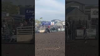 Rodeo #trending #tiktok