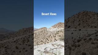 Desert Hike in Palm Desert, California #shorts