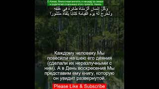 Коран Сура Аль Исра | 17:13 | Чтение Корана с русским переводом | Quran Translation #alisra