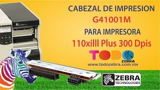 Cabezal de Impresion ZEBRA para 110XiIII Plus 300Dpis G41001M