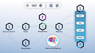 How the Nexus Platform Works