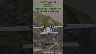 Field Airways 198 crash animation (turboprop flight simulator)