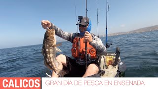 PESCA EN KAYAK- Buen dia de pesca CALICOS en Ensenada/NICE CALICO FISHING DAY IN ENSENADA