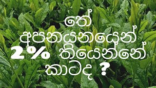 Who owns 2% of tea exports? තෙ අපනයනයේ 2% යන්නෙ කාටද ?