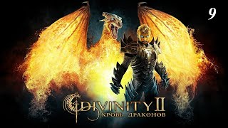 Divinity 2: Кровь драконов прохождение 🔥🔥🔥🔥 9 серия