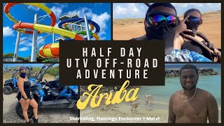 UTV Off-Road Adventure Aruba - Things to do in Aruba Snorkel, Flamingo Encounter and more!