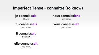 What Is the Imperfect Tense of the French Verb 'connaître' ('to know')?