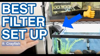 BEST FILTER SETUP FOR CRAYFISH TANK