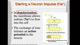 Bio 4_Module 7_Ch13_part 5