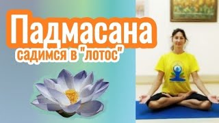 🧘‍♀️ Гимнастика для освоения Падмасаны